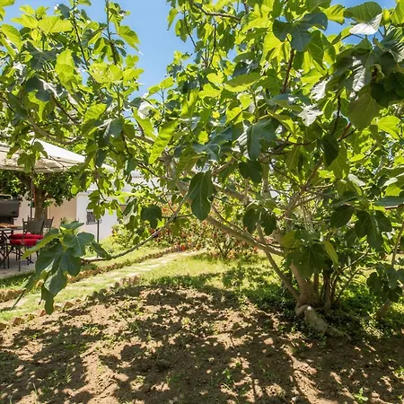 I Magi Bed & Breakfast