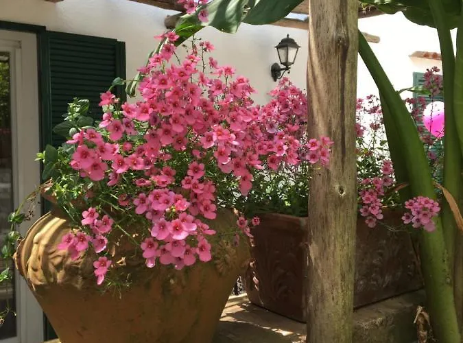 I Magi Anacapri (Isola di Capri)