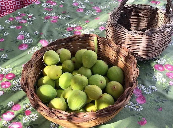 I Magi Bed & Breakfast 4*