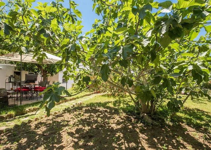 I Magi Bed & Breakfast