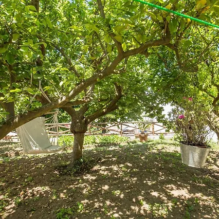 住宿加早餐酒店 