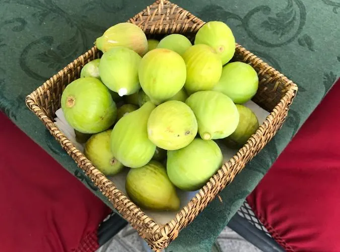 ベッド・アンド・ブレックファスト 